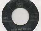 THE VOLUMES-GOTTA GIVE HER LOVE(GREAT OLDIE)-AMERICAN ARTS.