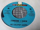 The Lollipop Shoppe 45 Someone I Knew/Through My Window Promo Rare Psych Garage