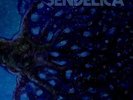 SENDELICA - I'll Walk With The Stars For You - LP (black) VINCEBUS ERUPTUM