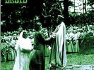 DRUID - Druid - LP (colour) Nasoni