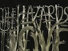 The Decemberists - Hazards of Love