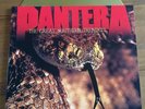 Pantera - The Great Southern Trendkill 12