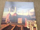 pink floyd animals