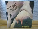 AEROSMITH - GET A GRIP One Vinyl LP 1993 INSERT