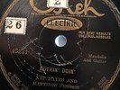 NAP HAYES & MATHEW PRATER OKEH 45231 BLUES 78 RPM RECORD V+ DIG