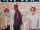 THE GORIES OUTTA HERE CRYPT RECORDS LP VINYLE NEUF NEW VINYL 12