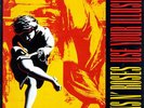 Guns N`Roses - Use Your Illusion 1 Vinyl 2LP + Digital NEU Slash 0550042n