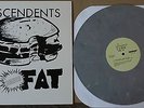 descendents bonus fat 12'' limited colored vinyl sst black flag descendents nofx