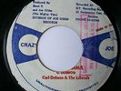 Carl Dobson & The Liberals - 