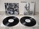 WHIPPING POST After & Really 