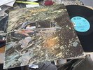 JIMMY BUFFET - DOWN TO EARTH - Barnaby mega RARE debut album rural loner psych