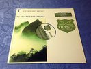 THE QUEST (12