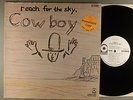 Cowboy  Reach For The Sky    White Label Promo   Southern Rock