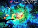 Standing At the Sky's Edge [VINYL] Richard Hawley Vinyl