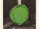 Cabbage Alley - Meters (2013, Vinyl NUOVO)