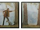 Neil Young whith Crazy horse- Everybody - 1976 - Reprise Ita -Vinile mai suonato
