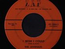JUVENILES: I Wish I Could / What Can I Do 45 rare Rock & Pop