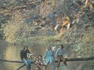 WINGS (PAUL McCARTNEY) Wild Life Vinyl Record LP Fame FA 4131011 EX