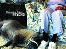 ELEMENT OF CRIME - PSYCHO - inkl.DOWNLOADCODE - VINYL - ALBUM - NEU & OVP
