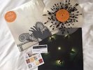 Thee Oh Sees Mutilator Defeated At Last ULTRA CLEAR/LEAD VINYL LP Record & MP3