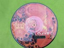 Tiamat - Wildhoney PIC LP
