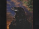 Stranglers The Raven - 3D Sleeve vinyl LP album record UK UAG30262