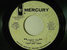 Tony & Terri 45 I WANT YOU / TAKE ME NOW   Mercury VG rock