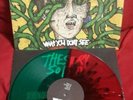 What You Don't See by The Story So Far Vinyl Watermelon /500 | wonder years