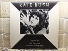 Kate Bush Suspended, Sat In Your Lap, Pull Out Pin, There Goes Tenner US Promo