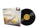 Rival Sons - Hollow Bones - New VInyl LP - Signed - Pre Order 10th June