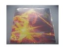 In Concerto [2 Vinyl-LPs]. Tozzi, Umberto: