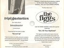 TRIPLEFASTACTION & THE FIGGS Clear PROMO FLEXI 7 INCH Vinyl Triple Fast Action