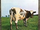 Pink Floyd ?– Atom Heart Mother- , Harvest ?– 1 C 062-04 550 n-, LP 1970