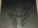 Deerhunter Debut Album Vinyl Record 