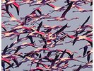 DEFTONES-GORE-VINYL LP (2) REPRISE RECORDS NEW