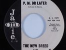 Funk Mod Breaks 45 NEW BREED P.M. or Later JAMIE NM HEAR
