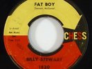 Billy Stewart 