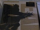 Pearl Jam Ten And Vs Vinyl Edition Rerelease. 180 Gram Vinyl