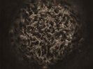 GADGET - The Great Destroyer  LP  GOLD