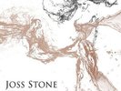 JOSS STONE**WATER FOR YOUR SOUL (180 G/WITH DOWNLOAD/GATEFOLD)**2 VINYL SET