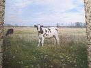 Pink Floyd - Dark Side Of The Moo - Screaming Abdabs - Trixie - NM