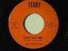 Dee Felice Trio (inst. 45) LITTLE LIZA JANE / NIGHTINGALE   Terry VG+