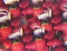 Thee Oh Sees - Floating Coffin [New Vinyl LP]