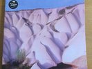 AUTECHRE - AMBER - VINYL LP