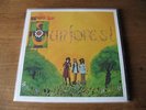 SUNFOREST   Sound of the Sunforest