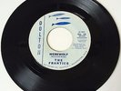 HALLOWEEN SURF ROCK INSTRO 45  / FRANTICS / WEREWOLF / DOLTON 16 / HEAR