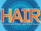 Hair  Vinyl / 12