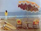 NEIL YOUNG LP VINYL ON THE BEACH