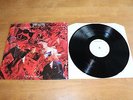 The Saints / France LP Test Pressing / Out In The Jungle 1982