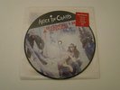 Alice in chains down in a hole picture disc 7 inch vinyl unplayed